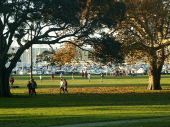 City - Rushcutters Bay